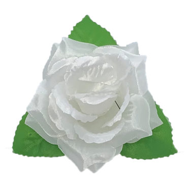 Trandafir alb