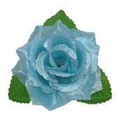 Trandafir turcoaz
