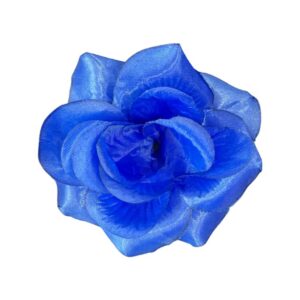 Trandafir mare albastru